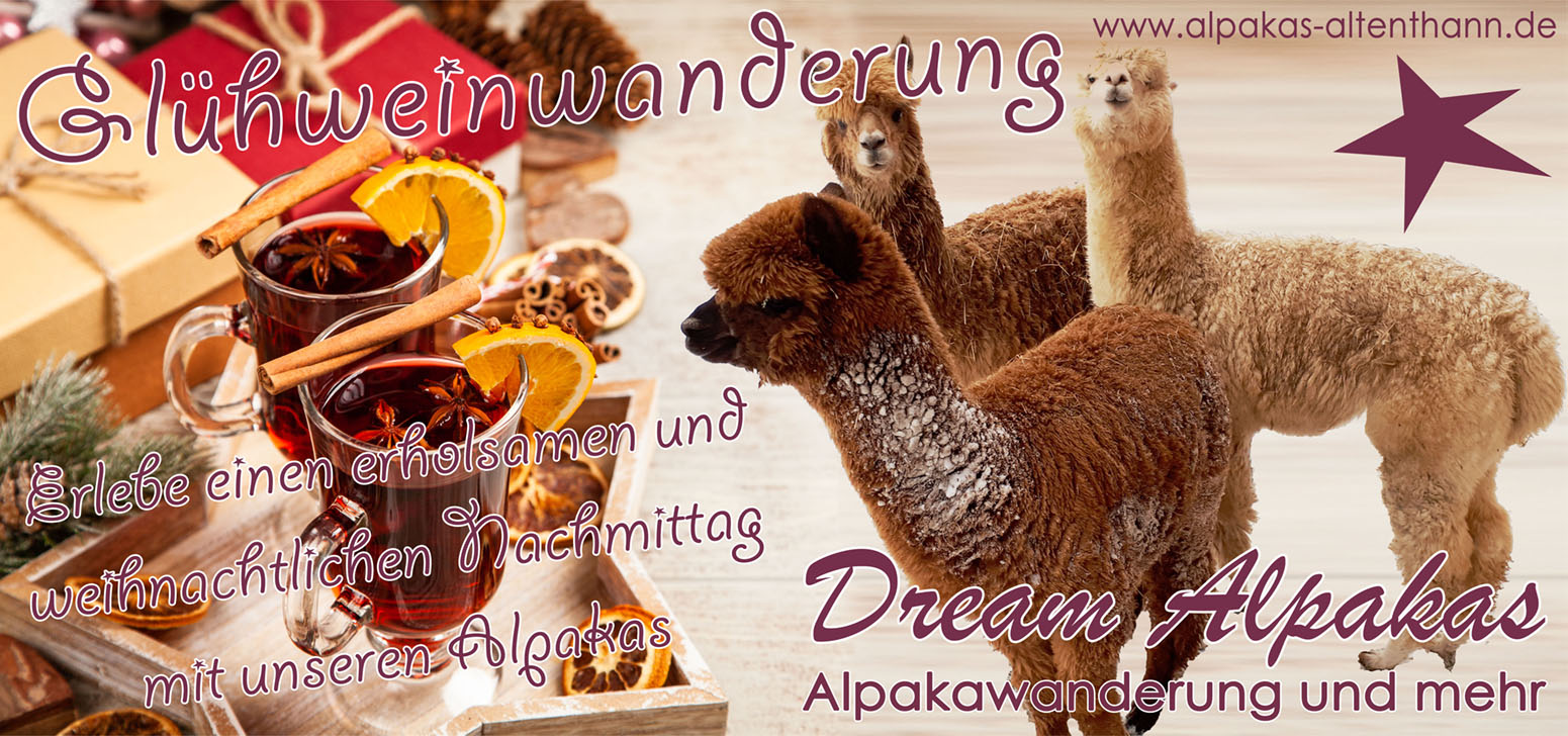Glühweinwanderung bei Dream Alpakas